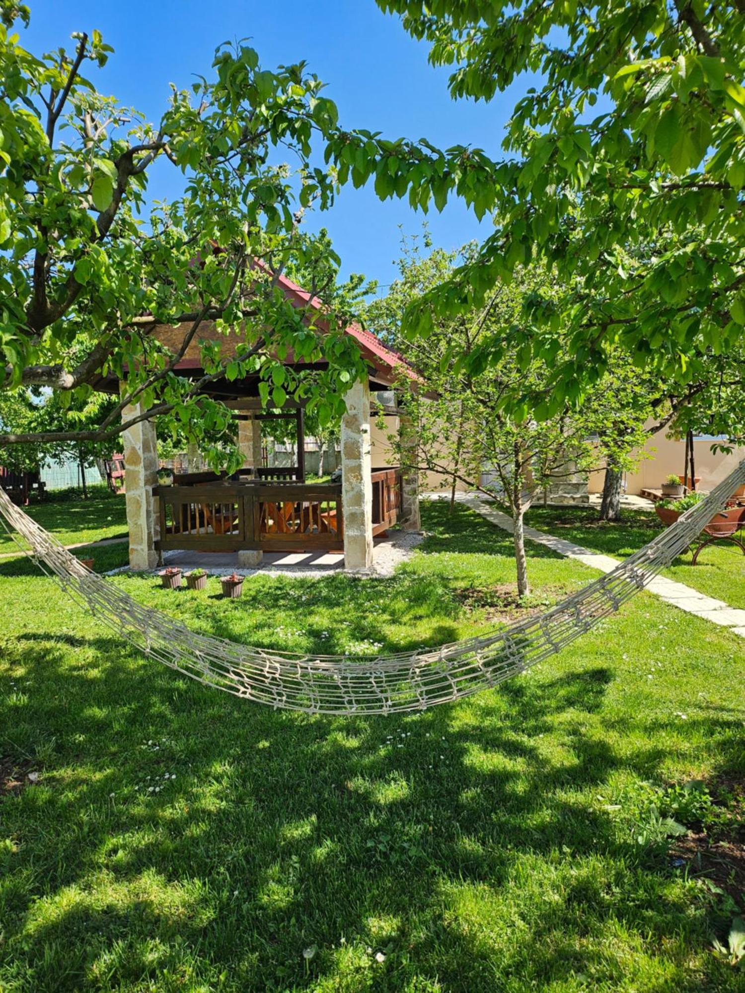 Calm Nest Daire Nikšić Dış mekan fotoğraf